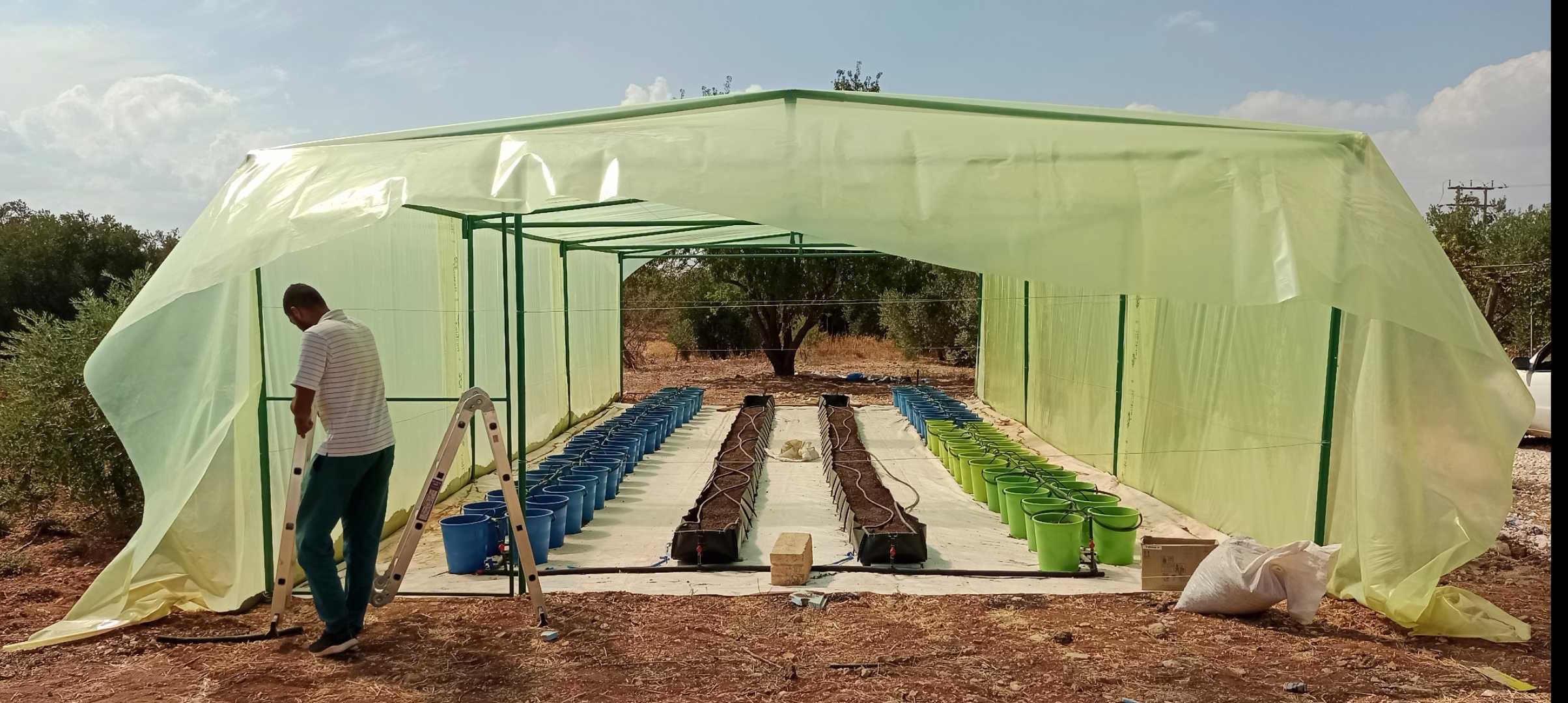 Eesti Pagulasabi rajatud kasvuhooned Jordaanias