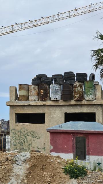 Houses and a palm tree in syria