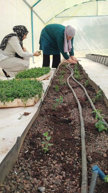 Women in a greenhouse
