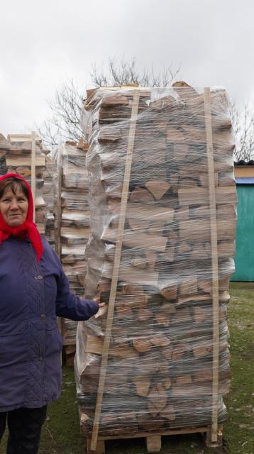 Woman standing with logs 
