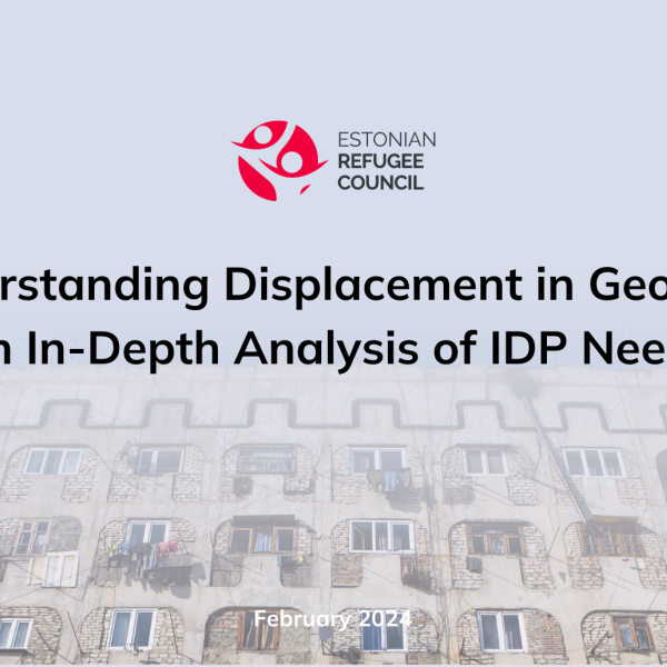idp needs in geo