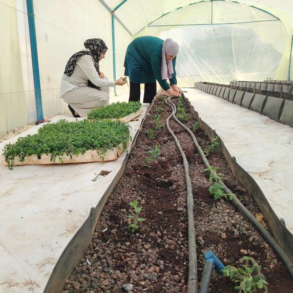 Women in a greenhouse