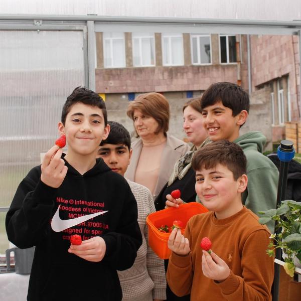 Armenian strawberries